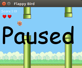 ECE 5725 Final Project - Flappy Bird Game