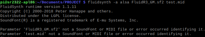 Fluid Synth error message