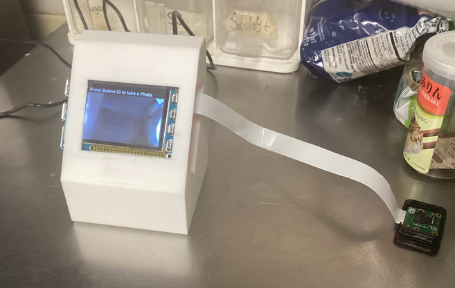 prototype