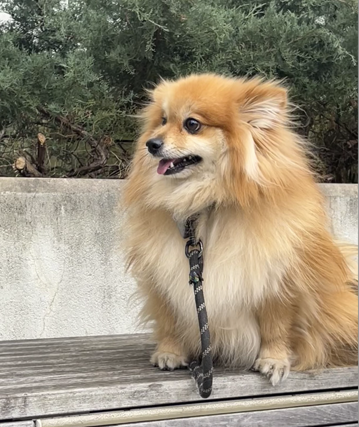 Generic placeholder image